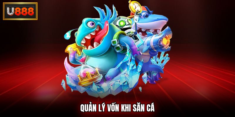 Quản lý vốn khi săn cá