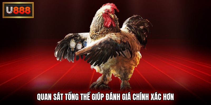Quan sát tổng thể giúp đánh giá chính xác hơn
