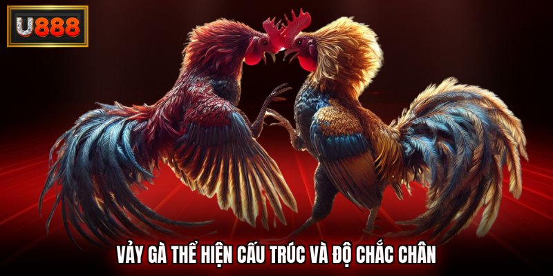 Vảy gà thể hiện cấu trúc và độ chắc chân